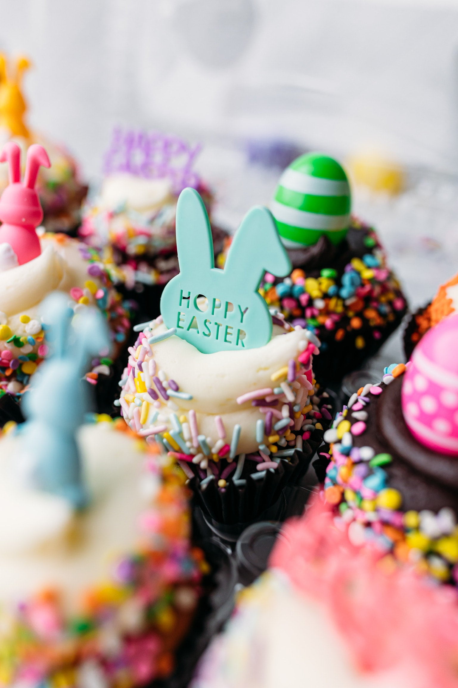 HOPPY Easter Cupcake Box | Hapa Bakery